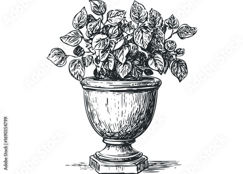 Potted plant with foliage in an urn sketch file. Vector hand drawn illustration