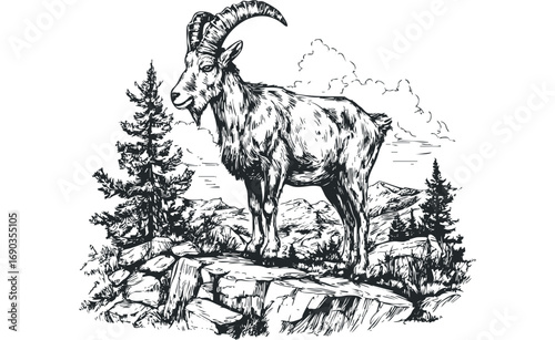 Hand drawn ibex standing on rocky terrain. Vector hand drawn illustration