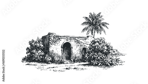 Ancient stone structure with arched entryway and palm tree. Vector hand drawn illustration