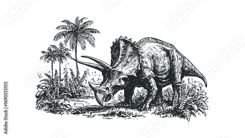 Line drawing of a Triceratops dinosaur drinking water from a stream in a prehistoric jungle with palm trees. Vector hand drawn illustration
