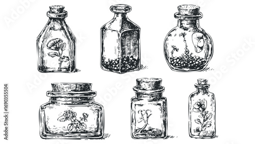 Collection of Vintage Botanical Glass Bottles with Cork Stoppers. Vector hand drawn illustration