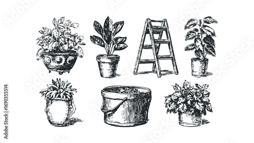 Line art drawings of potted plants and gardening tools on transparent background. Vector hand drawn illustration