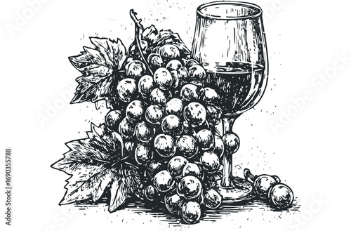 Ink drawing of ripe grapes and a wine glass on a transparent background. Vector hand drawn illustration