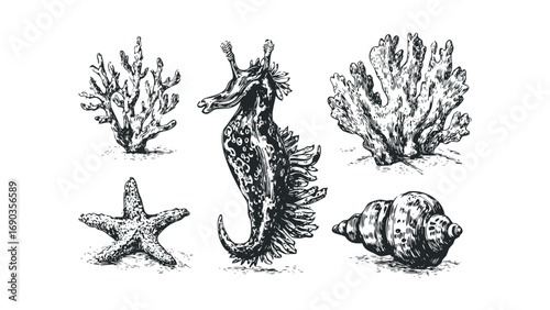 Collection of Sea Creatures and Coral File. Vector hand drawn illustration