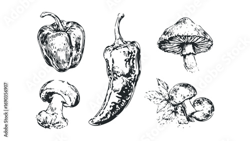 Sketch of bell pepper, chili pepper, and mushrooms on transparent background. Vector hand drawn illustration