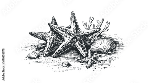 Sketch of Starfish and Seashells on Sand. Vector hand drawn illustration