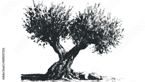 Distressed olive tree with gnarled trunk and textured foliage on transparent background. Vector hand drawn illustration