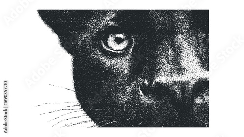 Close-up textured portrait of a black panther's eye and face detail. Vector hand drawn illustration