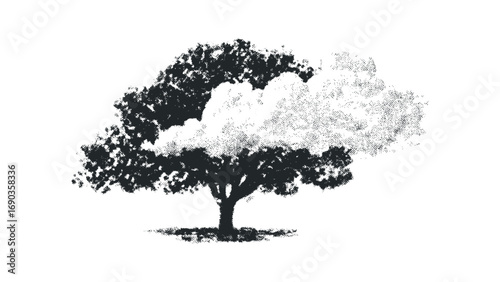 Solitary deciduous tree with textured foliage on transparent background. Vector hand drawn illustration