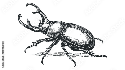 Detailed ink drawing of a stag beetle with prominent mandibles, isolated on a white surface. Vector hand drawn illustration