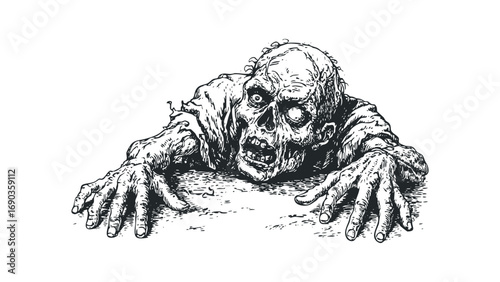 Creepy zombie reaching out, image on white. Vector hand drawn illustration
