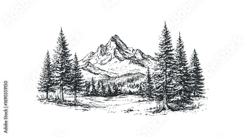 Hand drawn mountainous landscape with pine trees in sketch style. Vector hand drawn illustration