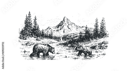 Two Grizzly Bears Wading In Shallow River With Pine Forest And Mountain Peak. Vector hand drawn illustration