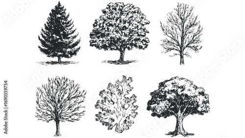 Collection of Hand Drawn Tree and Shrub Icons on Transparent Background. Vector hand drawn illustration