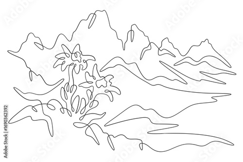 Continuous one line drawing Alpine flowers. Mountain flowers. Mountain landscape. One continuous line isolated minimal illustration.Not AI.