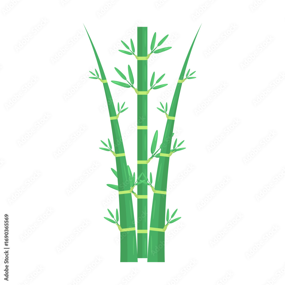 Obraz premium Vibrant green bamboo stalks with lush leaves against a clean white background, ideal for nature themes