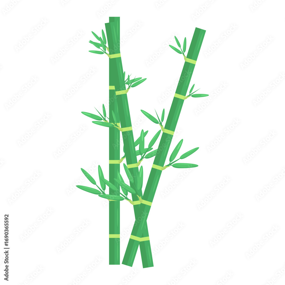 Fototapeta premium Lush green bamboo stalks with vibrant leaves against a clean white background, symbolizing nature (1)