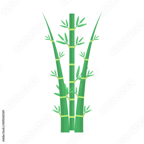 Vibrant green bamboo stalks with lush leaves against a clean white background, ideal for nature themes
