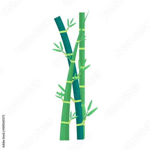 Vibrant bamboo stalks with lush green leaves against a clean white background