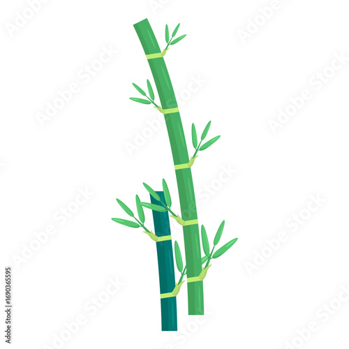 A vibrant green bamboo stalk with leaves growing, set against a clean white background