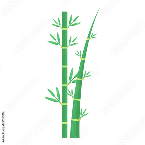 Green bamboo stalks with vibrant leaves against a white background, ideal for nature-themed designs