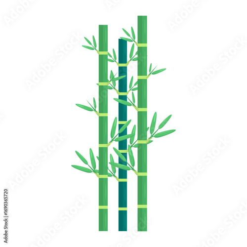 Lush green bamboo stalks with vibrant leaves against a white background, symbolizing nature