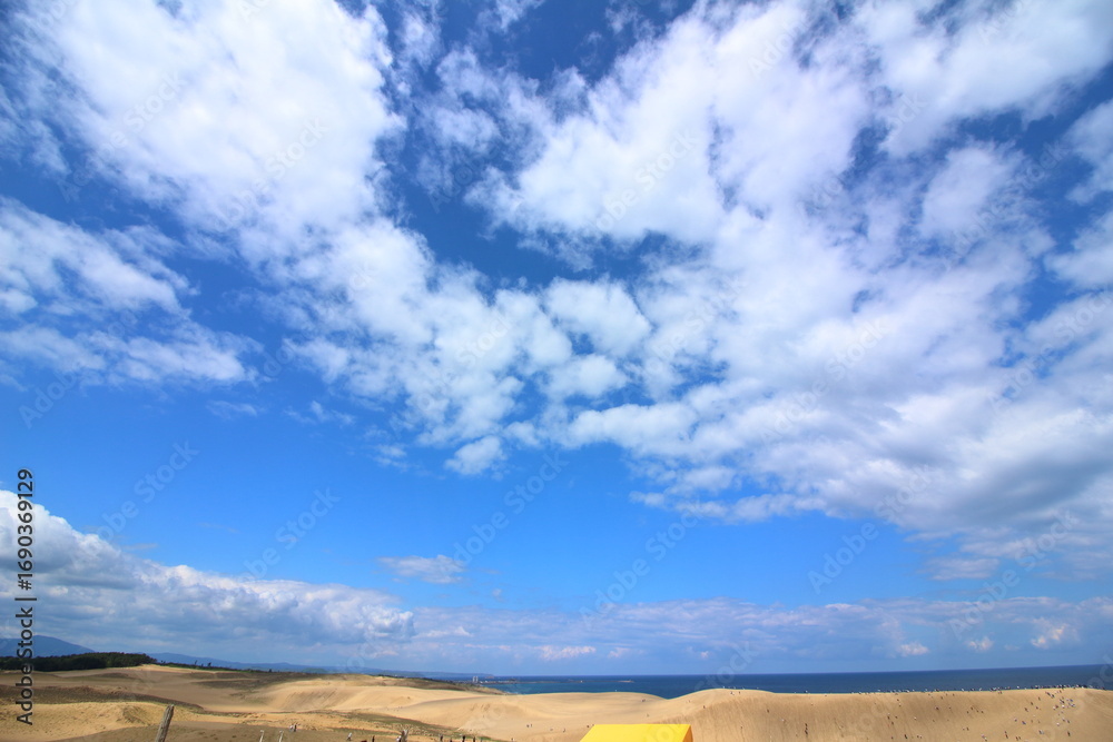 Fototapeta premium 雄大な大空と砂丘の風景