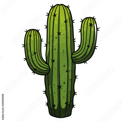 Cactus vector illustration of a green potted plant isolated on white background with a fresh natural design