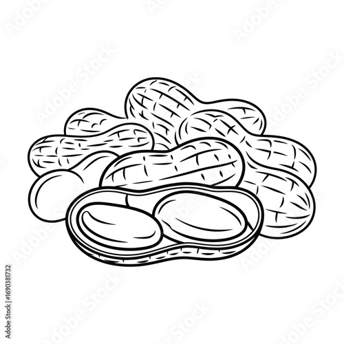 Hand drawn illustration of a pile of peanuts in shells