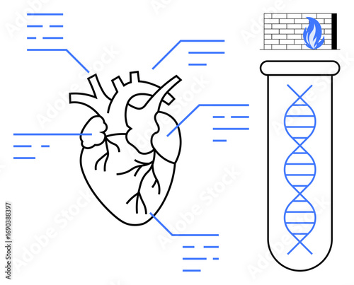 Anatomical heart with data labels next to a test tube containing DNA strand. Elements symbolize biotechnology, genetics research, healthcare progress, and medical innovation. Ideal for science