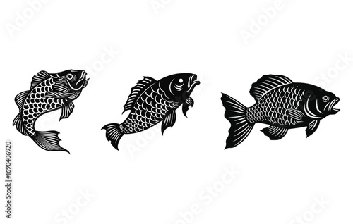River carp fish set