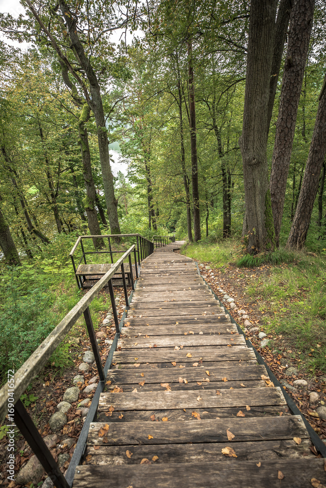 Obraz premium A wooden staircase with metal railings leads down the slope to the lake. There is a dense forest around, and fallen autumn leaves lie on the steps.