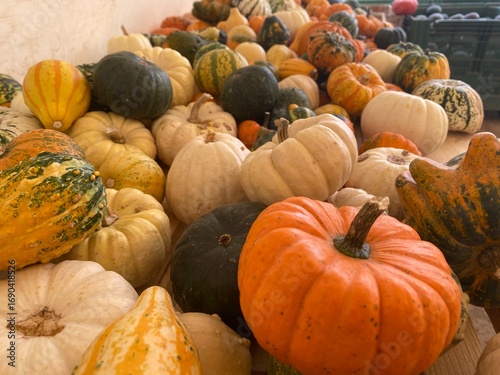 Authentic Autumn Harvest of Decorative Gourds and Pumpkins