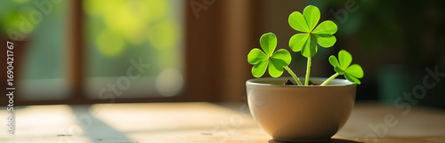 lush clover sprouts delicate ceramic pot set warm wood table soft diffused natural light pouring