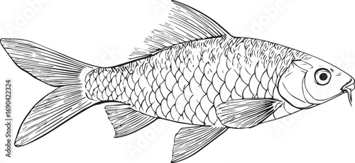 Simple black and white line drawing of a salmon silhouette