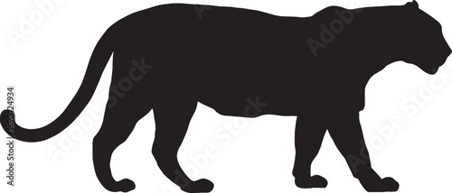 Majestic bengal tiger silhouette on white background