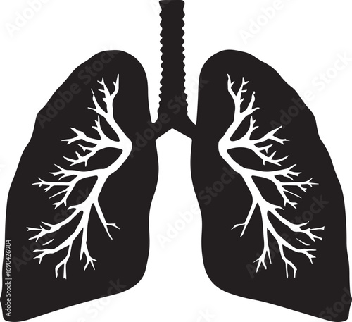 Simple black vector silhouette of two lungs isolated on white background silhouette