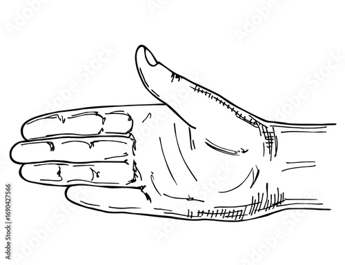 Man hand isolated sketch illustration. Hand outstretched to shake hand. Hand drawn illustration isolated on white background.