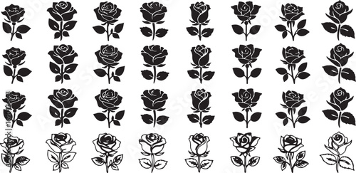 miscellaneous, outline, range, floral, silhouette, graphic, illustration, stems, botanical, love, romantic, vector, with, rose, detailed, collection, leaf, petal, illustrations, elements., arrangement