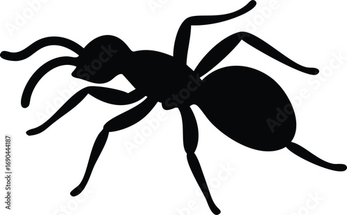 Black Ant Silhouette on White Background Insect