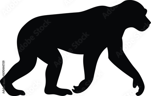 Black Monkey Silhouette Walking, Animal on White Background, Wildlife