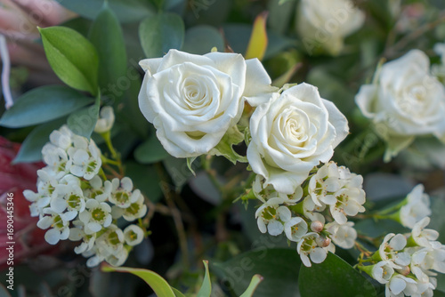 Wallpaper Mural Closeup of small white roses and white Geraldton wax blossoms in a bouquet  Torontodigital.ca