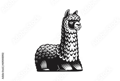 Elegant of a Black and White Alpaca on a White Background