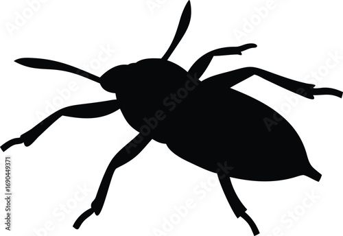 Giant Water Bug Silhouette, on White Background, Insect Design