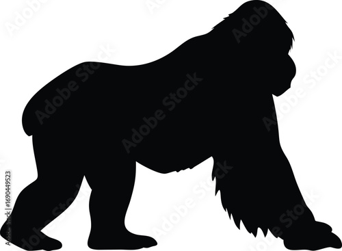 Gorilla Silhouette on White Background, Wildlife Animal