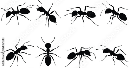 Ant silhouettes, black insect icons, side view ants, segmented body design, six leg insect shapes, isolated vector art, entomology symbol set