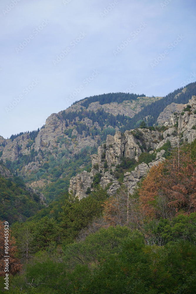 Obraz premium nature mountain landscape rocks stones forest needles pine firs blue sky Balkans