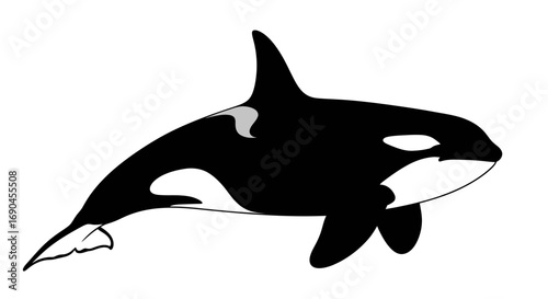 A black and white illustration of an orca whale swimming with its dorsal fin raised.