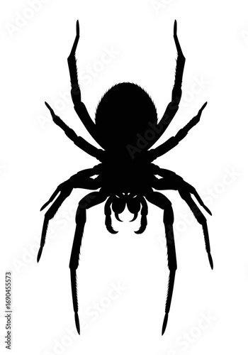 A stark black silhouette of a spider, viewed from a dorsal perspective, isolated on a clean white background.