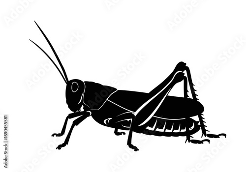 A black silhouette of a grasshopper is depicted against a white background, showcasing its distinct body shape and long legs.